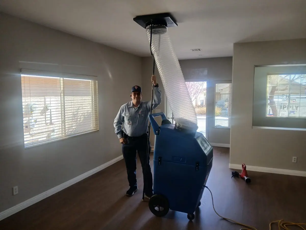 Professional Dryer Vent Cleaning work inside a Arlington home